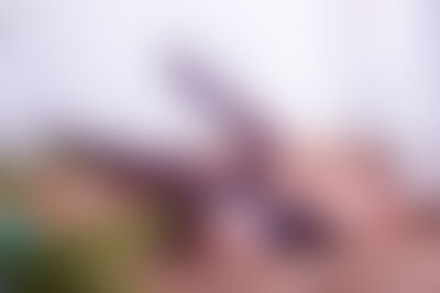 IsabelleCrose's hot photo – thumbnail