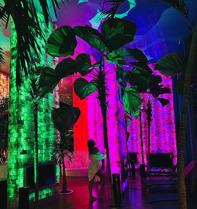 Aalyahh Gallery Image 11