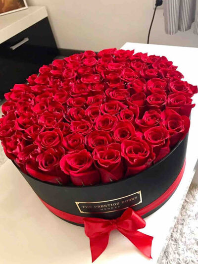 Aalyahh Gallery Image 14