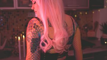 DiaFox Gallery Image 3