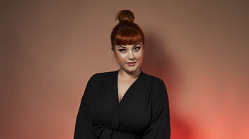 DiaFox Gallery Image 1