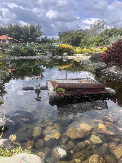 MillieGreco Gallery Image 17