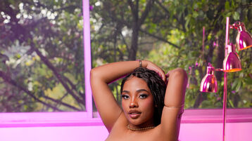 JenetteDiamond Gallery Image 1 JenetteDiamond Gallery Image 1